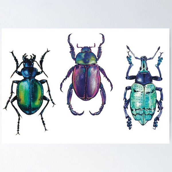 Item preview, Beetle Trio designed and sold by Ashley Kennah.