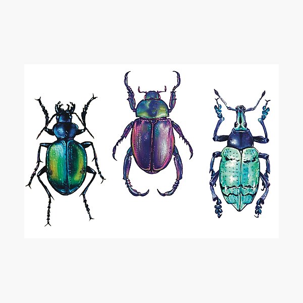 Item preview, Beetle Trio designed and sold by Ashley Kennah.