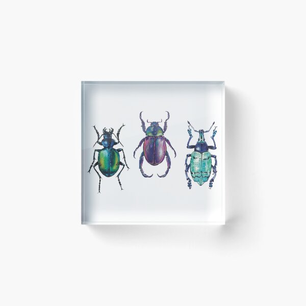Item preview, Beetle Trio designed and sold by Ashley Kennah.