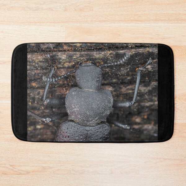 Item preview, Darkling beetle designed and sold by SDym Photography.