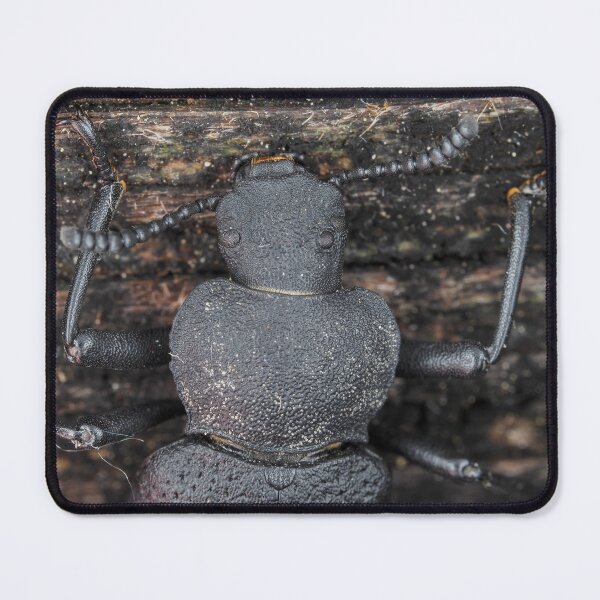 Item preview, Darkling beetle designed and sold by SDym Photography.