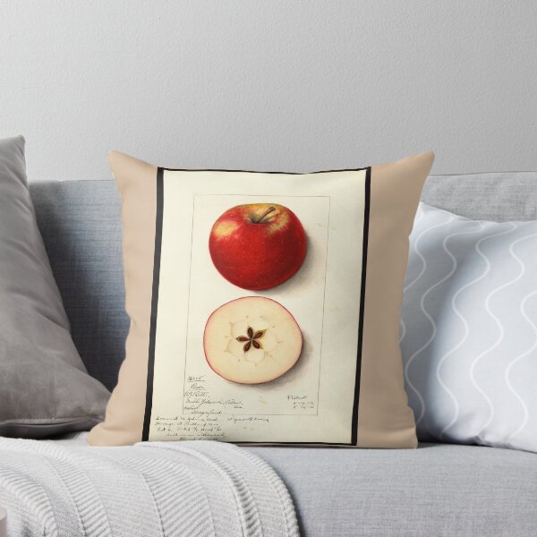 Item preview, Pomological Watercolor of Rome Apple (Malus domestica) designed and sold by Amanda1775.