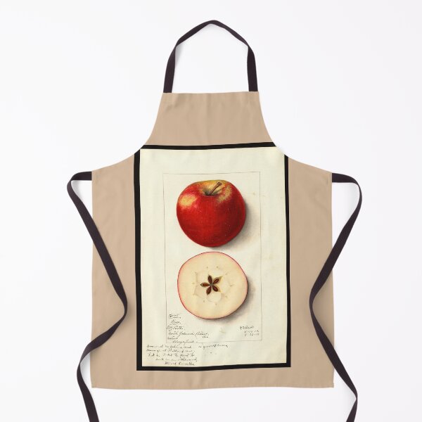 Item preview, Pomological Watercolor of Rome Apple (Malus domestica) designed and sold by Amanda1775.