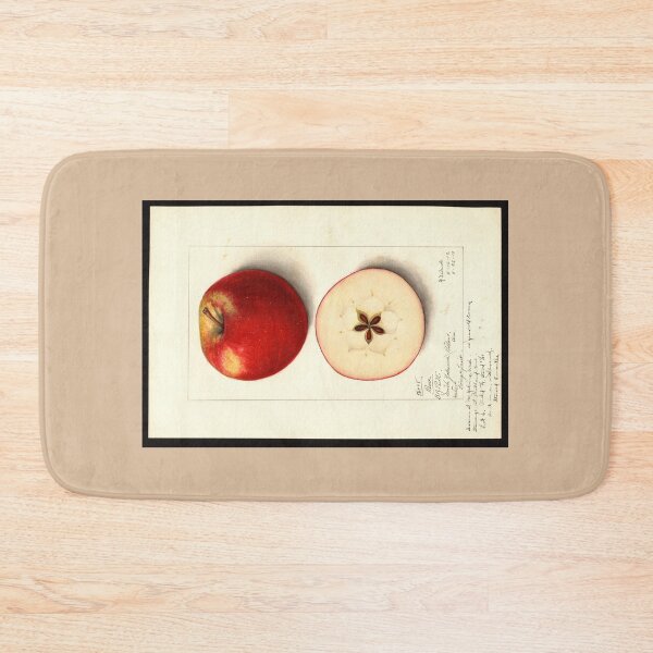 Item preview, Pomological Watercolor of Rome Apple (Malus domestica) designed and sold by Amanda1775.