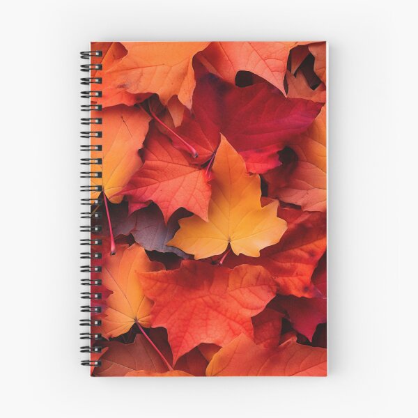 Item preview, Colorful Autumn Leaves Fall Season Pillow designed and sold by allthis.