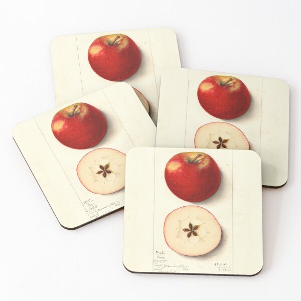 Item preview, Pomological Watercolor of Rome Apple (Malus domestica) designed and sold by Amanda1775.
