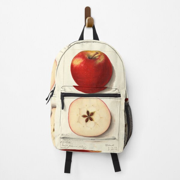 Item preview, Pomological Watercolor of Rome Apple (Malus domestica) designed and sold by Amanda1775.