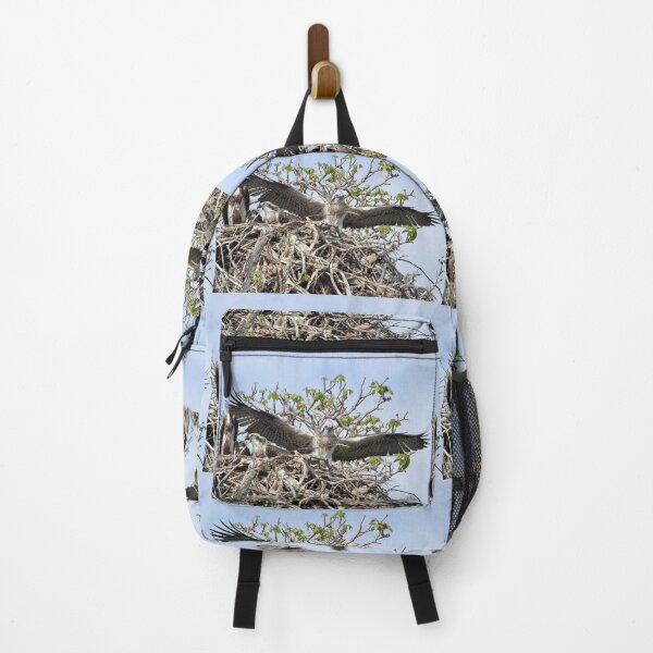 Item preview, Young Osprey learning to fly designed and sold by Mark Grimsley.