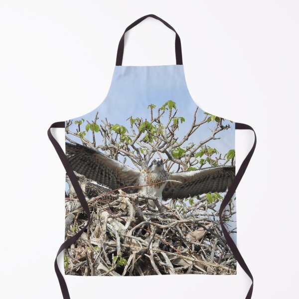 Item preview, Young Osprey learning to fly designed and sold by Mark Grimsley.