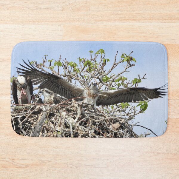 Item preview, Young Osprey learning to fly designed and sold by Mark Grimsley.