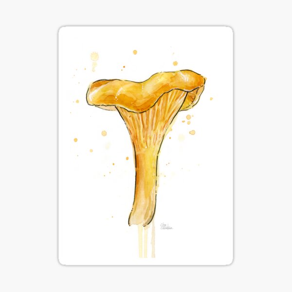 Item preview, Chanterelle Watercolor Painting designed and sold by Olga Shvartsur.