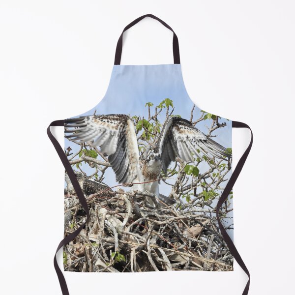 Item preview, Young Osprey trying to fly designed and sold by Mark Grimsley.