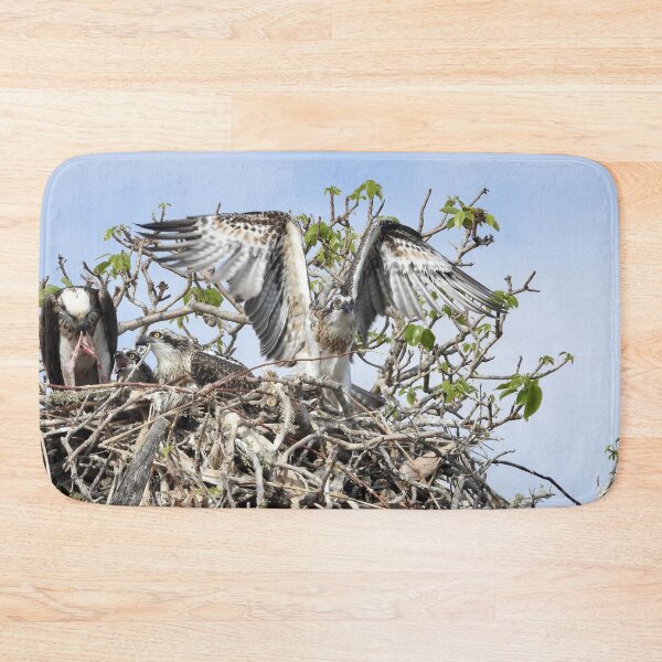 Item preview,  Young Osprey trying to fly designed and sold by Mark Grimsley.