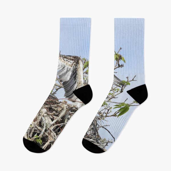 Item preview,  Young Osprey trying to fly designed and sold by Mark Grimsley.