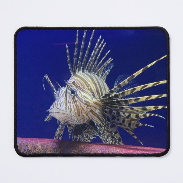 Item preview, Lion Fish designed and sold by Sierra Wright.