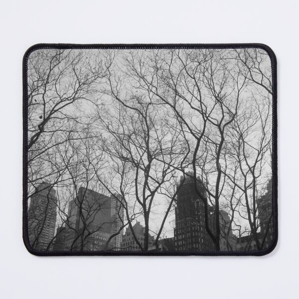 Item preview, park and city, midtown, nyc designed and sold by bodhiimages.