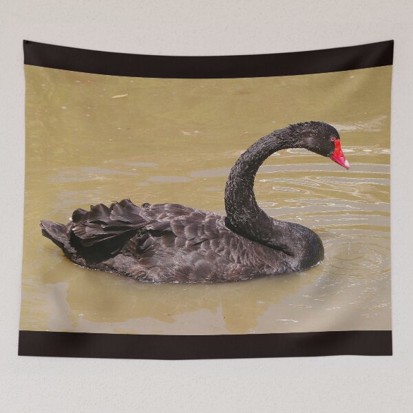 Item preview, Graceful black swan designed and sold by FranWest.