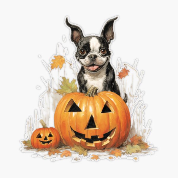 Halloween Funny Cute Boston Terrier Dog Inside Pumpkin Sticker for Sale by  HealthyHappyYou