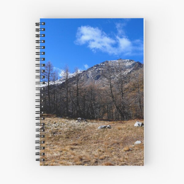 Item preview, Bernina Pass designed and sold by annalisa56.