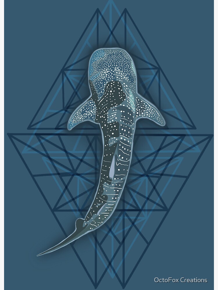 アート・デザイン・音楽 THE WHALE'S EYELASH Whale Shark Art Print – Wild Peonies Studio