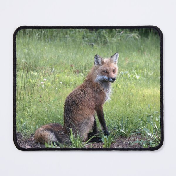 Item preview, Foxy Mama designed and sold by Finding Fortuity.