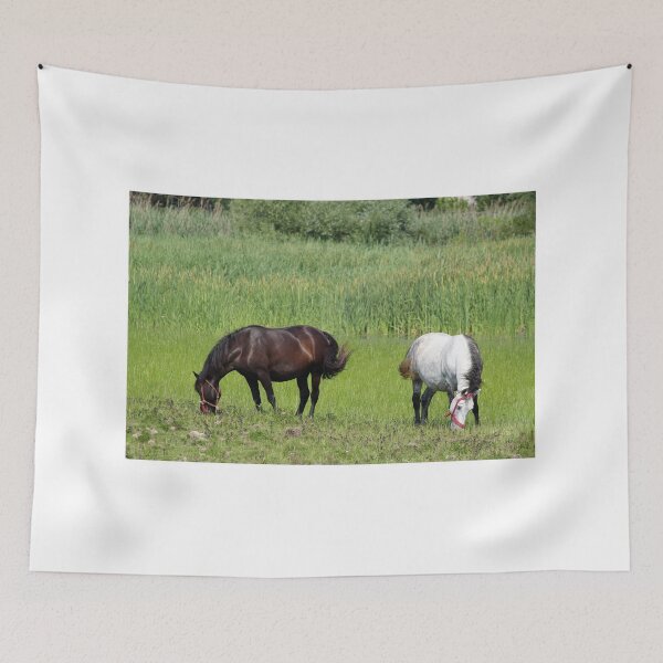 Item preview, black and white horse on pasture designed and sold by goceris.