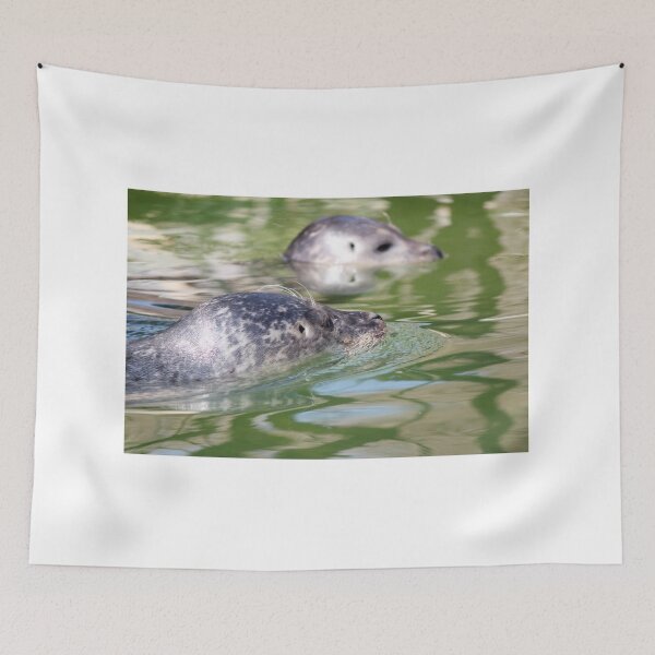 Item preview, two seal swimming nature scene designed and sold by goceris.