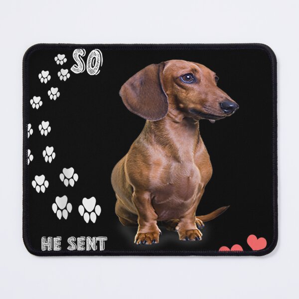 Item preview, I Asked God For True Friend So He Sent Me A Dachshund designed and sold by ParrotMart.