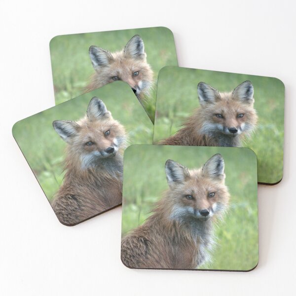 Item preview, Foxy Mama Face designed and sold by Leslie Montgomery Art.