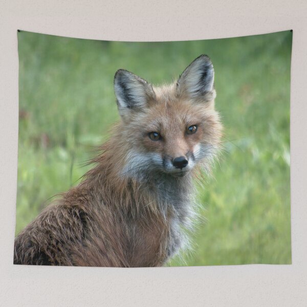 Item preview, Foxy Mama Face designed and sold by Finding Fortuity.