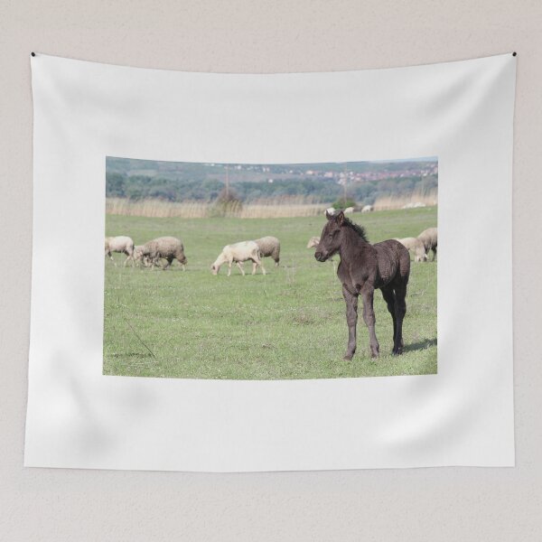 Item preview, grey foal on pasture farm scene designed and sold by goceris.