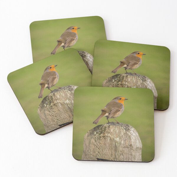 Item preview, Robin perched on gatepost designed and sold by bailey-cooper.