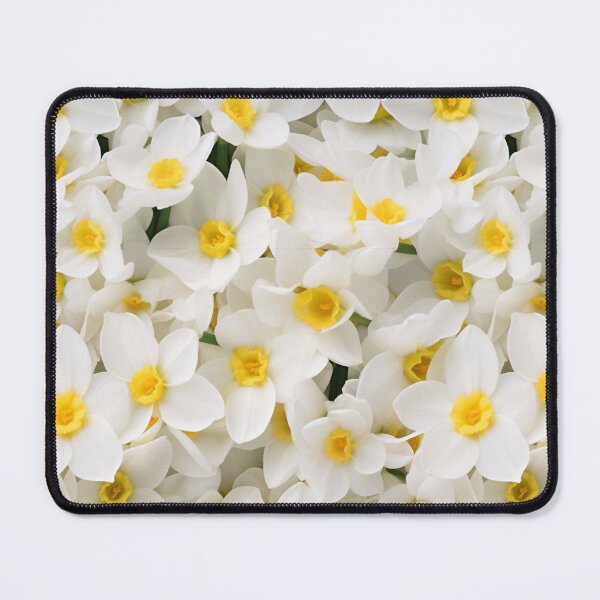 Item preview, Daffodil Narcissus designed and sold by allthis.