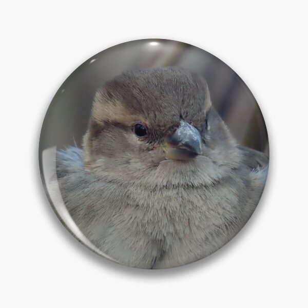 Item preview, Sparrow in a winter coat designed and sold by WildEncounters.