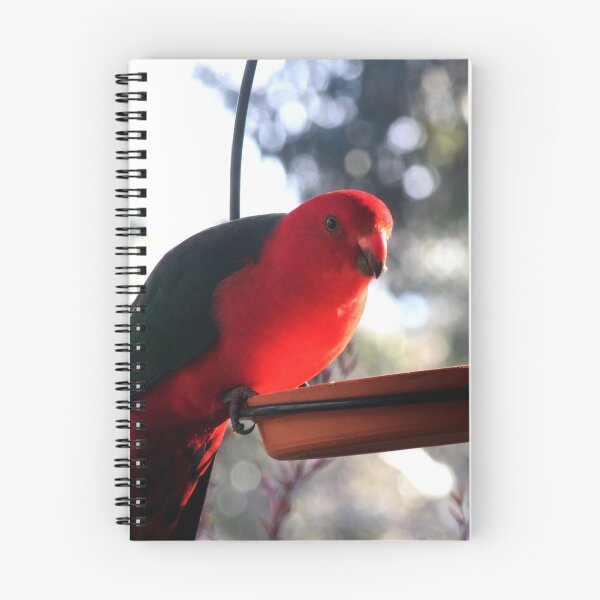 Item preview, Pretty Polly Parrot designed and sold by KazM.