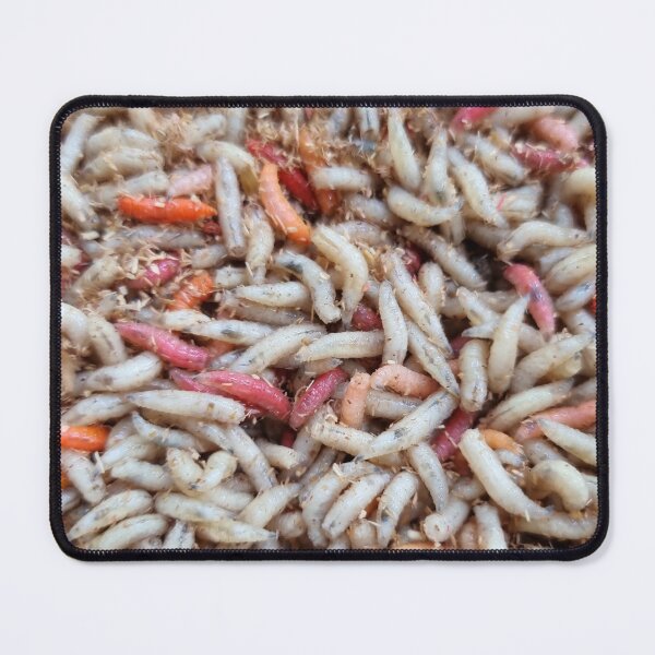 Item preview, Maggots fishing bait designed and sold by mary02.