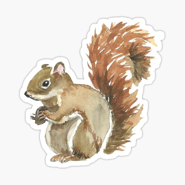 Autumn I/'m Sorry for Being a Little Squirrelly Squirrel All Over Coffee Mug