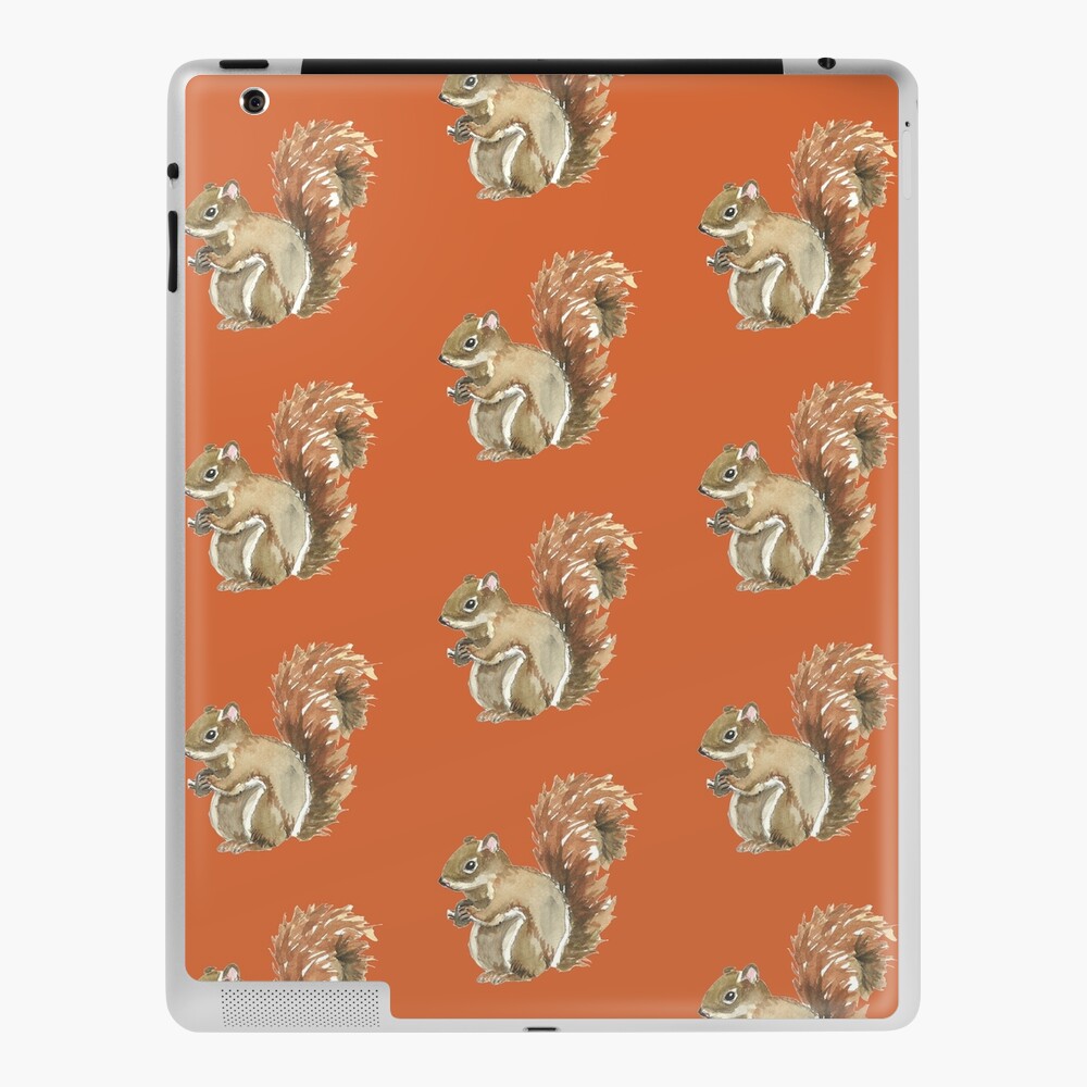 Cute squirrel - animals with clothes  iPad Case & Skin for Sale by Sunset  Design