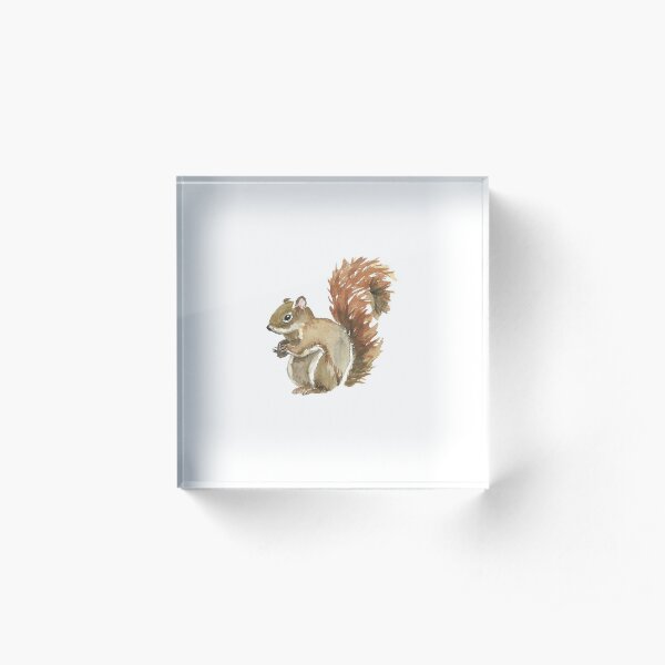 Cute Squirrel Design Acrylic Block