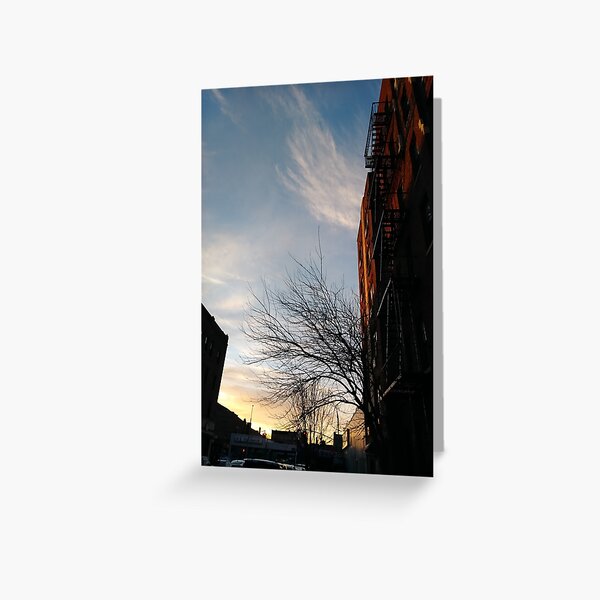 New York, Manhattan, Brooklyn, New York City, architecture, street, building, tree, car,   Greeting Card