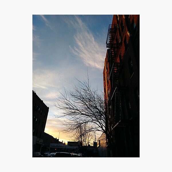 New York, Manhattan, Brooklyn, New York City, architecture, street, building, tree, car,   Photographic Print