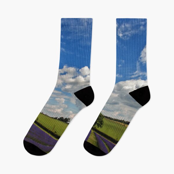Item preview, Lavender Field Purple Flowers Cotswolds England designed and sold by AndyEvansPhotos.