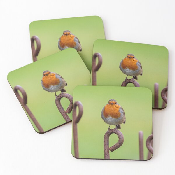Item preview, Robin perched on rusty stake, garden backdrop. designed and sold by bailey-cooper.