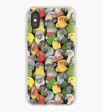 Colour of Conures iPhone Case