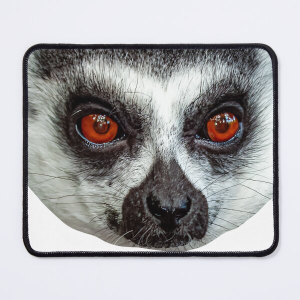 Item preview, Cute Face of a Ring-tailed Lemur designed and sold by Dalyndigital Photography.