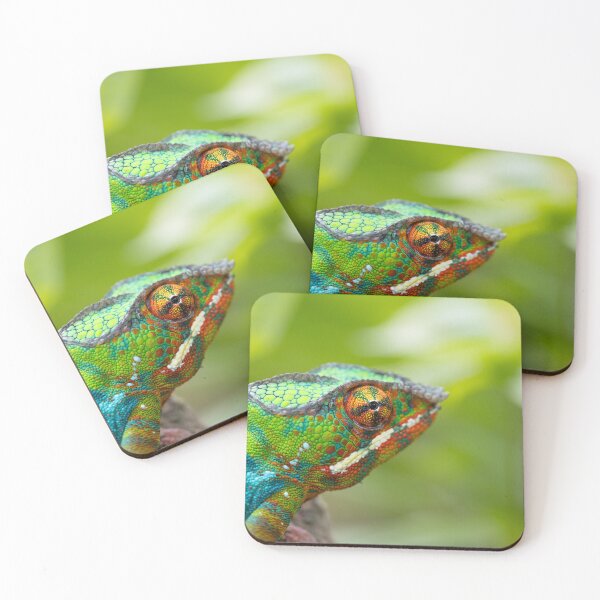Item preview, chameleon designed and sold by Nadine Küng Art.