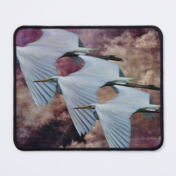 Item preview, Great White Egrets designed and sold by James DeFazio.