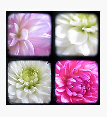 Dahlias Through The Viewfinder (TTV) Photographic Print