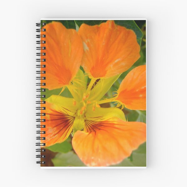 Item preview, Orange nasturtium designed and sold by Shulie1.