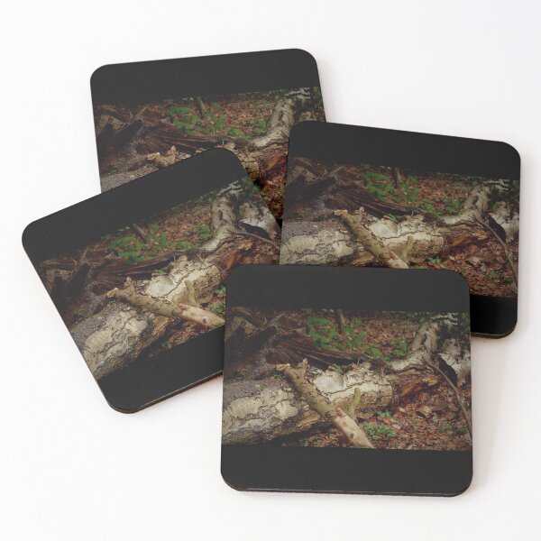 Item preview, Dead wood designed and sold by LnatureGreen.